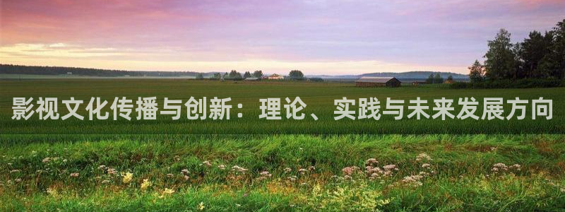 奇优影院 电视剧 电影：影视文化传播与创新：理论、实践与未来发展方向