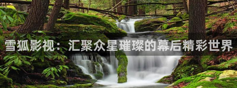 奇优影片：雪狐影视：汇聚众星璀璨的幕后精彩世界