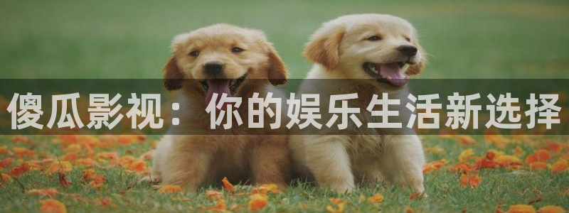 奇优影院手机影院在线观看：傻瓜影视：你的娱乐生活新选择