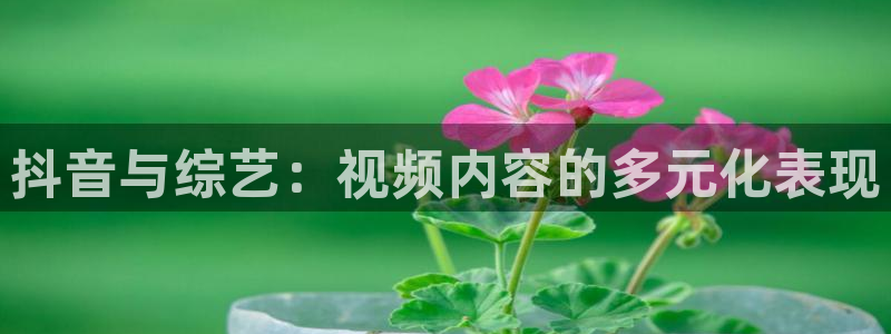 奇优影视院：抖音与综艺：视频内容的多元化表现